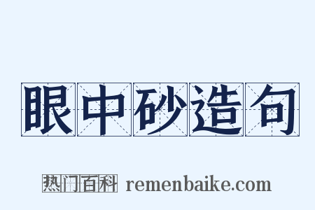 眼中砂造句是什么意思的图片